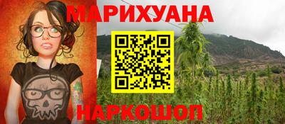 крисы Бузулук