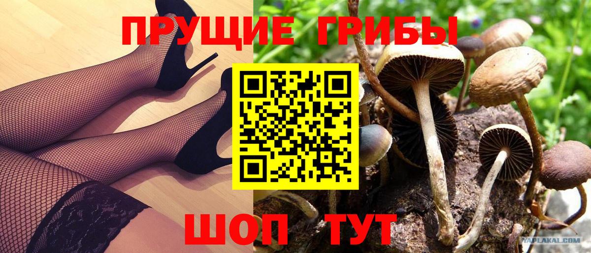 Галлюциногенные грибы мухоморы  Вход с VPN  Салават 